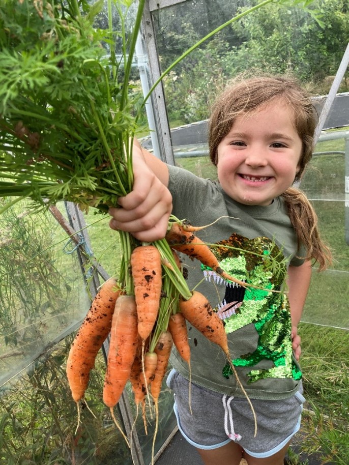Freshly pulled homegrown carrots (Image Copyright Jim Handley)