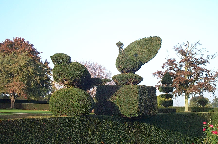Grimsthorpe Castle, Park and Gardens | Introduction to Topiary